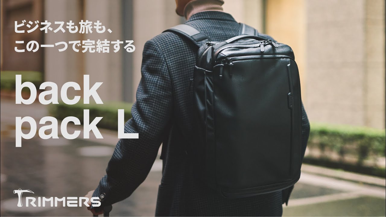 動画がロードされます。